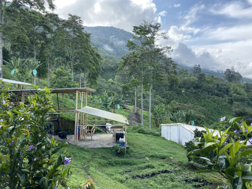 Colombie Yesid Vargas café Torréfaction Zannelli Drôme specialty coffee