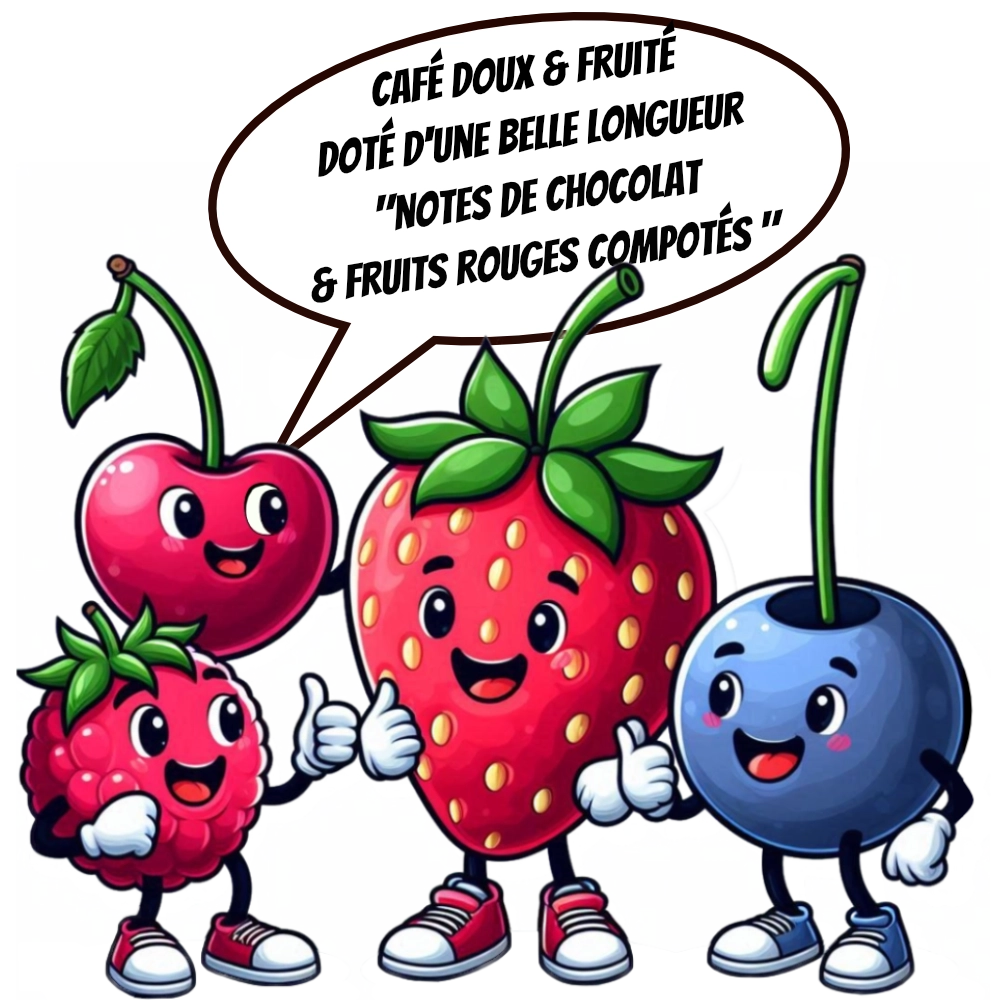 Fraise cartoon et saveurs- Café arabica Torréfaction Zannelli specialty coffee 26170 Buis Les Baronnies Drome Provence