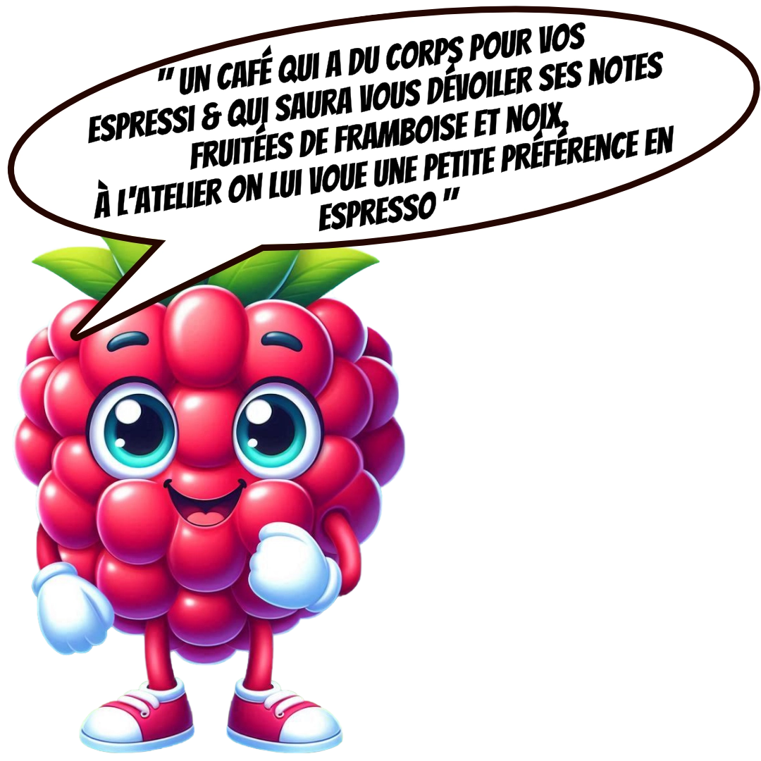 Framboise et saveurs cartoon torrefaction zannelli specialty coffee drome provence buis les baronnies