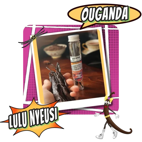 Gousse de Vanille extra Ouganda Lulu Nyeusi - Torréfaction Cafés Zannelli 26170 Buis Les Baronnies Drome Provence