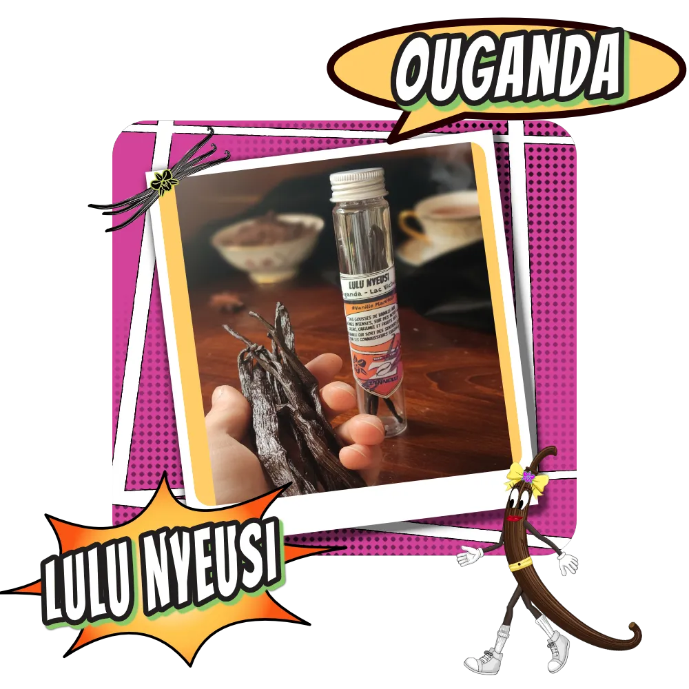 Gousse de Vanille extra Ouganda Lulu Nyeusi - Torréfaction Cafés Zannelli 26170 Buis Les Baronnies Drome Provence