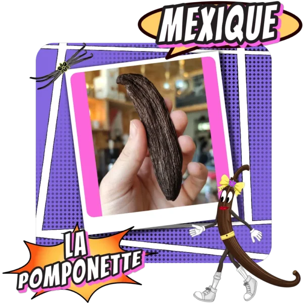 La Pomponette Gousses de Vanille Pompona du mexique - Torréfaction Cafés Zannelli 26170 Buis Les Baronnies Drome Provence